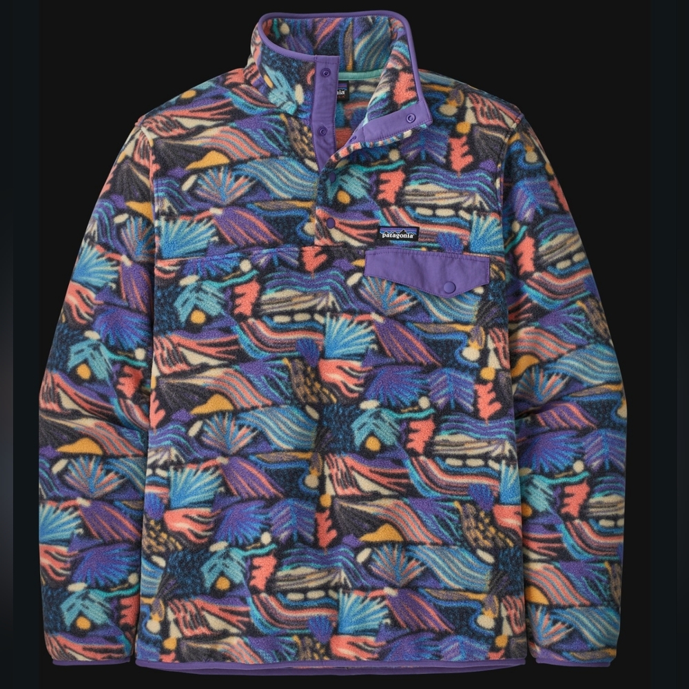 LIKE NEW Patagonia Synchilla Snap-T Fleece Pullover